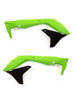 Green/ Black