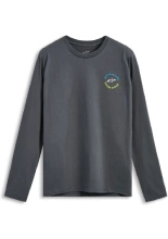 Koszulka z długim rękawem Alpinestars True CSF szara