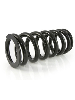 Sprężyny progresywne przedniego i tylnego zawieszenia Touratech do BMW R1200GS (04-05)