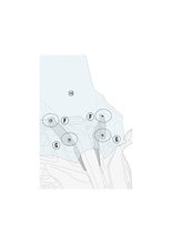 Mocowanie szyby GIVI D2144ST Yamaha Niken (19-24)