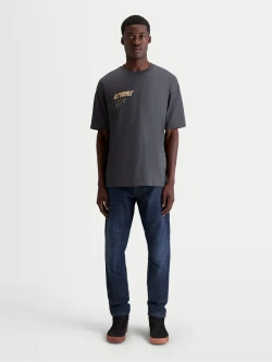 Koszulka z krótkim rękawem Alpinestars Chalk Oversized CSF szara