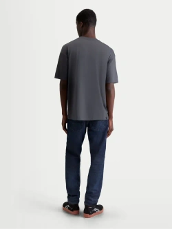 Koszulka z krótkim rękawem Alpinestars Chalk Oversized CSF szara