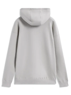 Bluza z kapturem Alpinestars Entity szara