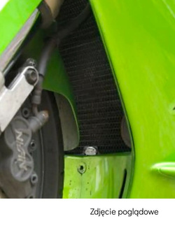 Osłona chłodnicy R&G aluminiowa do Kawasaki ZX12R (02-06) szara