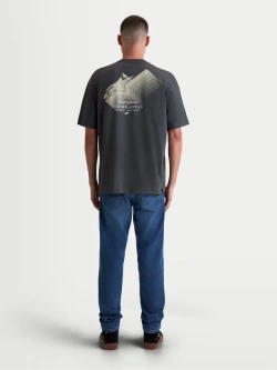 Koszulka z krótkim rękawem Alpinestars Ghost Oversized CSF szara