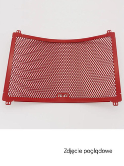 Osłona chłodnicy R&G aluminiowa do Ducati Diavel 1260 (21-) szara