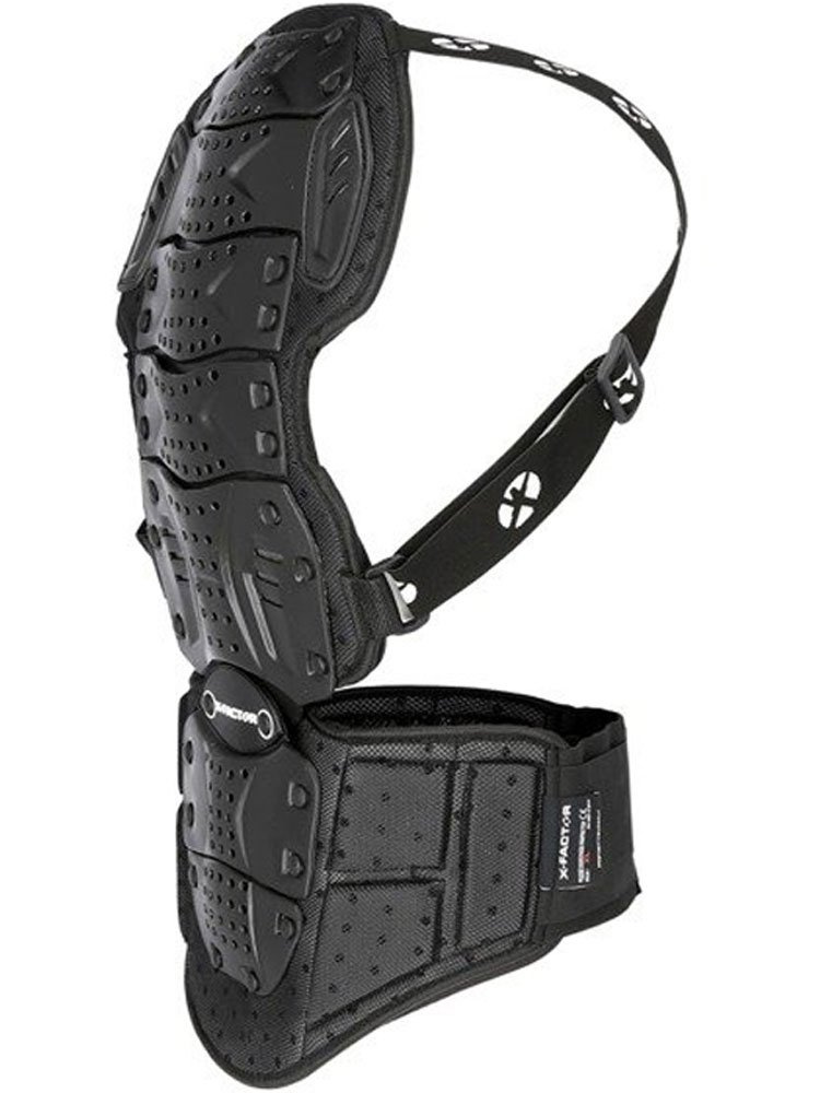 Żółw Duke X-factor