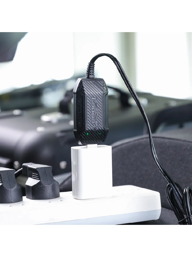 Ładowarka mini LOBOO C20 Pro do akumulatorów 12V, USB