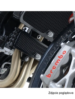Osłona chłodnicy oleju R&G Racing Triumph Speed Triple (11-)/ R (11-18)/ S (16-18)/ RS (18-20) tytanowa