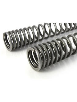 Zestaw sprężyn progresywnych przedniego widelca Black-T Stage1 Touratech Harley Davidson FLFB Fatboy / FLFBS Fatboy 114 (18-21)