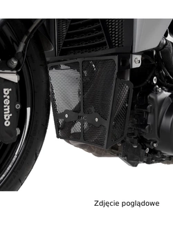 Osłona kolektorów wydechowych R&G BMW F 900 R (20-) tytanowy