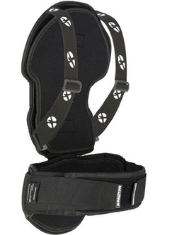 Żółw Duke X-factor