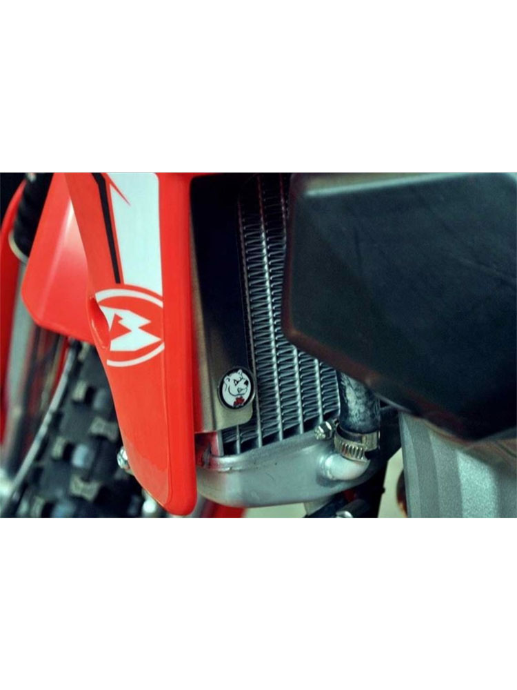 Wzmocnienie chłodnicy AXP Racing do Beta 350RR / 390RR / 430RR / 480RR (15-19)