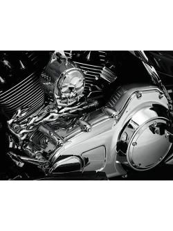 Osłona sprzęgła wewnętrzna Kuryakyn Harley Davidson (wybrane modele) srebrna [jednoczęściowa]