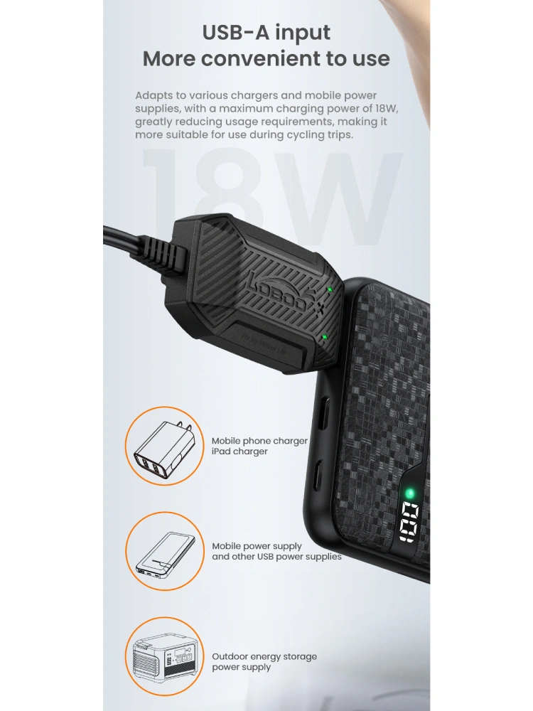 Ładowarka mini LOBOO C20 Pro do akumulatorów 12V, USB