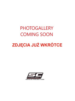 Tłumiki GP-TECH Slip-on SC-Project do Triumph STREET TRIPLE 675 / R [07-12]