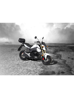 Minirack Hepco&Becker Honda MSX 125 [17-20]