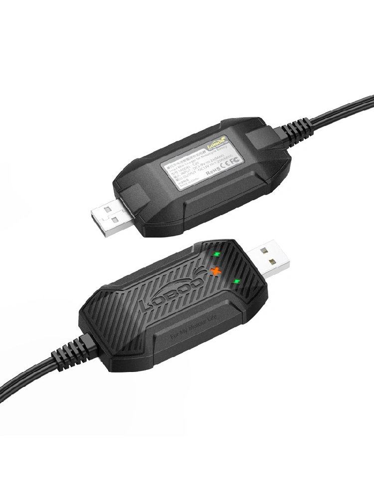 Ładowarka mini LOBOO C20 Pro do akumulatorów 12V, USB