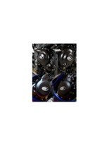 OSŁONA SILNIKA [PARA] R&G Do Triumph Daytona 675 (13-16) / Street Triple 675 (14-16) / Street Triple 675 R (14-16)