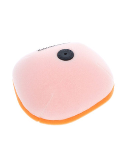 Filtr powietrza Twin Air 1511124