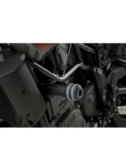 Crash pady PUIG Indian FTR 1200/ S (19-)