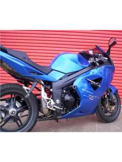 Crash pady R&G do Triumph Sprint ST (05-07)