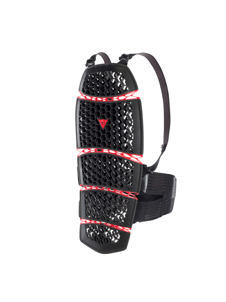 Ochraniacz pleców Dainese Pro-Armor Long 2.0