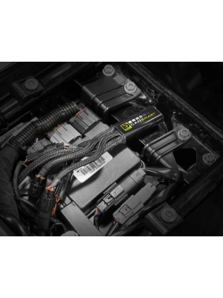 Kontroler Denali Cansmart Gen II Harley Davidson (wybrane modele)