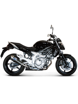 Tłumik Termignoni Slip-On stal nierdzewna, włókno węglowe do Suzuki Gladius 650 (09-15) 