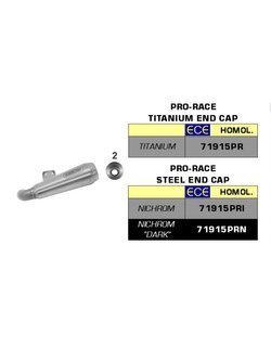 Tłumik motocyklowy Arrow Pro-Race BMW F 900 R/ XR (20-) nichrom